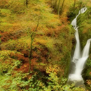Stock Ghyll waterfall in autumn, with motion blur from wind, Lake District NP, Cumbria, England, UK, November