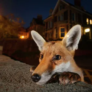 August Gallery: 31 Aug 2014