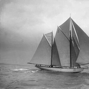 The 118 foot racing yacht Cariad, 1912. Creator: Kirk & Sons of Cowes
