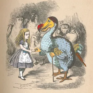 Alice and the Dodo, 1889. Artist: John Tenniel