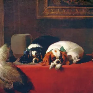 King Charles Spaniels Print, 1845 (c1915), Tate Gallery