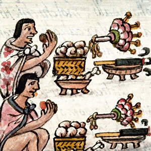Aztec cuisine. From Historia General de las Cosas de la Nueva Espana by Bernardino de Sahagun