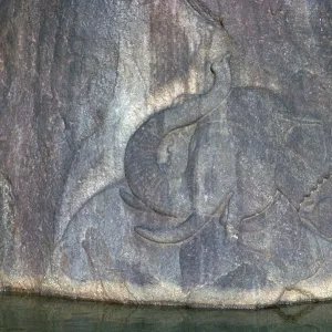 Bathing elephant carved in low relief in a Buddhist shrine