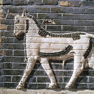Bull, glazed bricks, Ishtar Gate, Babylon, Iraq