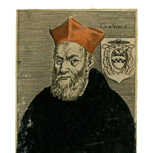 Cardinal Girolamo Bernerio, Italian priest, 16th century
