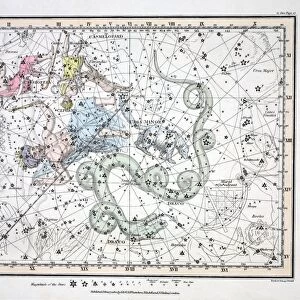 The Constellations (Plate II) Ursa Minor, Cassiopeia, Tarandus, Cepheus, Draco
