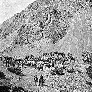 Convoy of muleteers at the foot of the Cordillera, South America, 1895