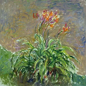 Daylilies (Les Hemerocalles), 1914-1917