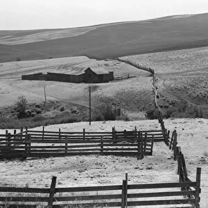 Desert stock farm, south central Washington, in region where much land has been overgrazed, 1939. Creator: Dorothea Lange