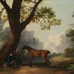 The Third Duke of Dorsets Hunter with a Groom and a Dog, 1768. Creator: George Stubbs