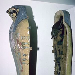 Egyptian small falcon-headed wooden coffin