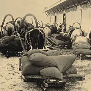 The food brigade (Prodotryad) in Siberia, 1920