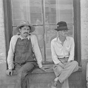 Frank Tengle, Bud Fields, and Floyd Burroughs... Hale County, Alabama, 1936. Creator: Walker Evans