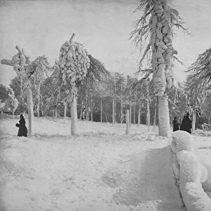 Frost Work in Prospect Park, Niagara, c1897. Creator: Unknown