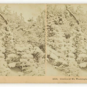 Glories of Mt. Washington, Midwinter, 1895. Creator: BW Kilburn