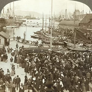 The harbor, N. W. from the market-place in Bergen, the greatest fish market of Norway, c1905