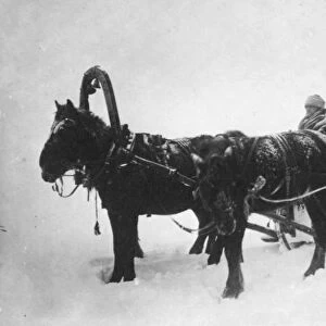 Horse-drawn sledge (kibitka), Siberia, Russia, 1890s