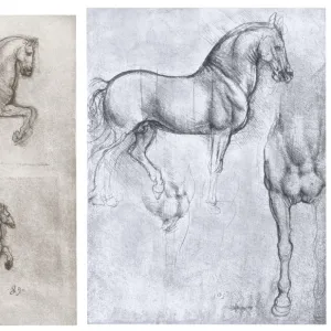 Horses, c1490-1510. Artist: Leonardo da Vinci