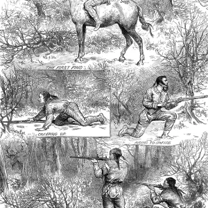 Snakes Mounted Art Print Collection: Moccasin Snake