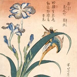 Kingfisher, Irises and Pinks, published c1834. Creator: Katsushika Hokusai (1760-1849)