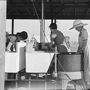 Laundry facilities in FSA migrant labor camp, Westley, California, 1939. Creator: Dorothea Lange