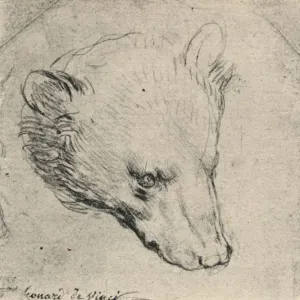 Leonardo da Vinci's Head of a Bear Print, 1945