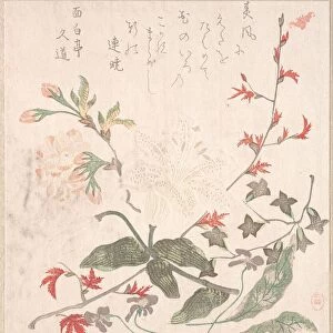 Lily, Violets, Cherry Blossoms, Forsythia, and a Branch of Red Maple, 18th-19th century