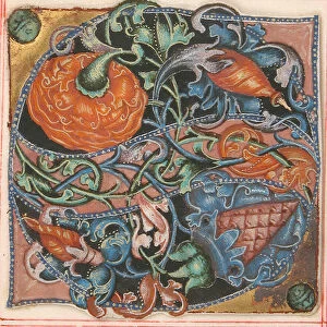 Manuscript Illumination with Initial S, from a Choir Book, German, 16th century