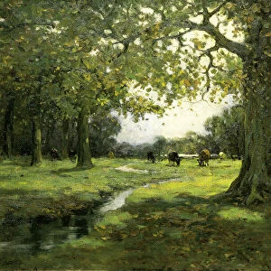 Meadow Brook, ca. 1912. Creator: Charles P. Gruppe