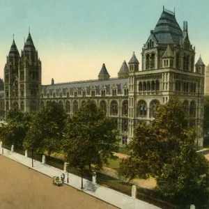 Heritage Images Print: Natural History Museum, London, c1910 Heritage Images Print: Natural History Museum, London, c1910