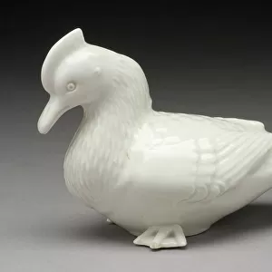 Ducks Collection: Crested Duck