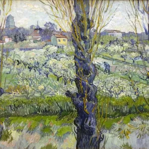 Orchard in Blossom with View of Arles, 1889. Artist: Vincent van Gogh