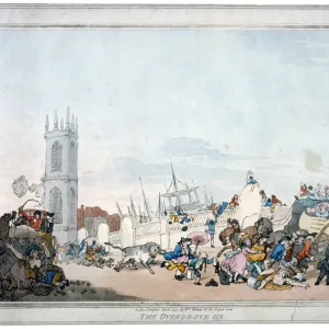 The Overdrove ox, 1790