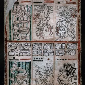 A page from the Dresden codex, Maya manuscript, 1901