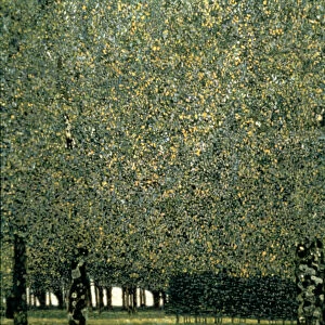 Park, 1910. Artist: Gustav Klimt