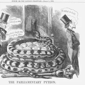 The Parliamentary Python, 1862