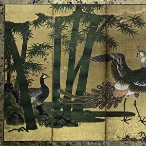 Peacocks and Bamboo, late 1500s. Creator: Tosa Mitsuyoshi (Japanese, 1539-1613), attributed to