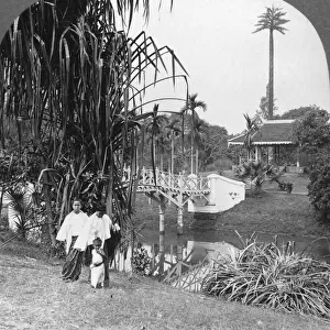 A peep into the tropical gardens of Rangoon, Burma, 1908. Artist: Stereo Travel Co
