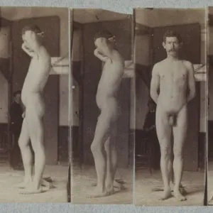 Thomas Eakins Collection: Anatomy studies