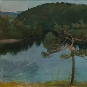Pine tree by the shore, 1900
