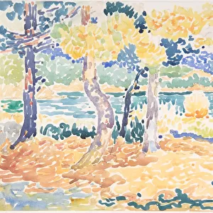 Pines on the Coastline, n. d Creator: Henri-Edmond Cross
