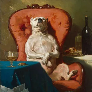 Pug Dog in an Armchair, 1857