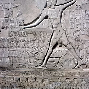 Detail of a relief of Pharaoh smiting his enemies, Temple of Khnum, Ptolemaic & Roman Periods