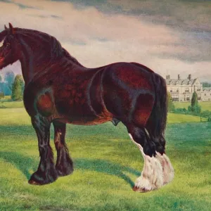 Farm Poster Print Collection: Horses