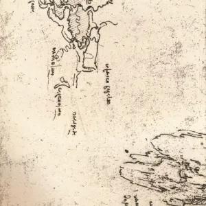 Sketch map of Armenia, c1472-c1519 (1883). Artist: Leonardo da Vinci