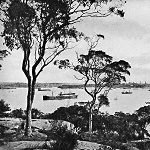 Sydney Harbour, from Cremorne Point, c1900. Creator: Unknown