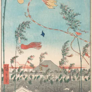 Artists Collection: Ando Hiroshige