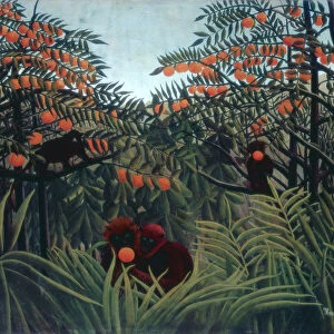 Henri Rousseau Collection: Exotic animals in art