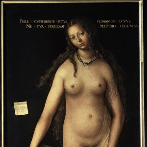 Venus and Cupid, 1509