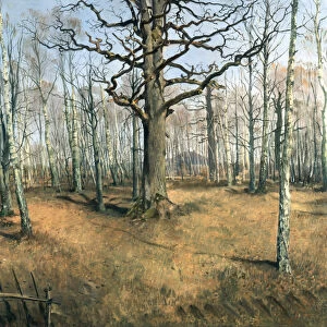 Wermsdorf Forest, 1859. Artist: Rayski, Louis Ferdinand von (1806-1890)